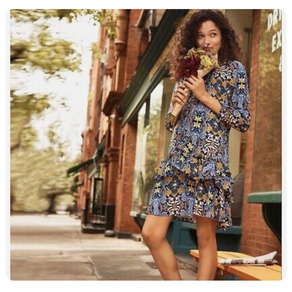 Ann Taylor Loft Autumn Swing Dress